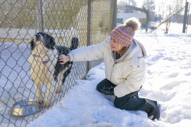 Marta Krupa z pomocą dla zwierząt. Nakarmiła psy i koty w potrzebie