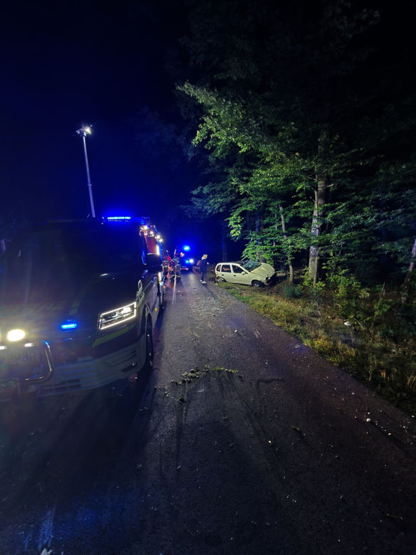 Potworny wypadek pod Mińskiem Mazowieckim. Opel rąbnął w drzewo. Dwie osoby nie żyją