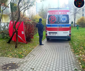 Makabra na Ursynowie. Mężczyzna wyleciał z 11 piętra 