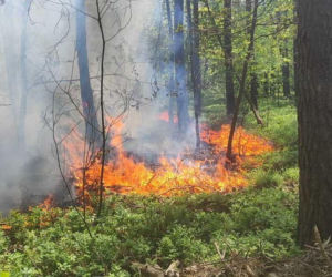 Niedoszły strażak sam podkładał ogień. Rafał S. odpowie za seryjne podpalenia w lasach