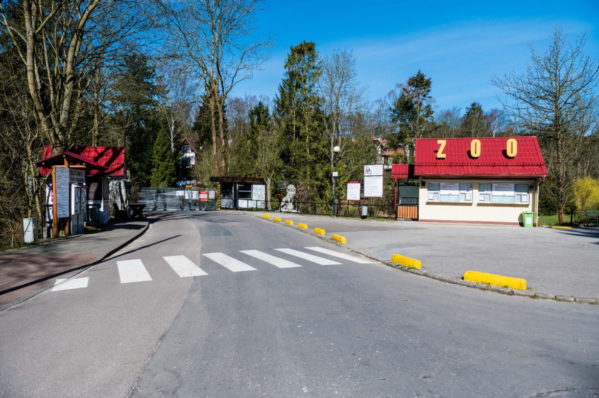 Koronawirus w Trójmieście. ZOO zamknięte na czas kwarantanny