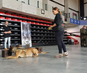 Psy służbowe, szkolenia i strefa pierwszej pomocy. Trwa drugi dzień CERBERUS K9 w Ostrowie