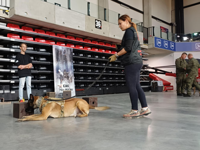 Psy służbowe, szkolenia i strefa pierwszej pomocy. Trwa drugi dzień CERBERUS K9 w Ostrowie