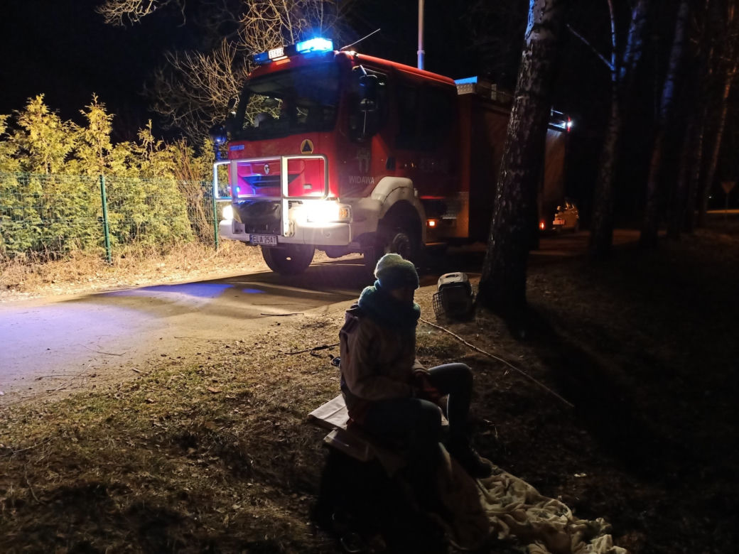 Szczeniak uwięziony w rurze kanalizacyjnej! Fuksa uratowali strażacy i wolontariusze