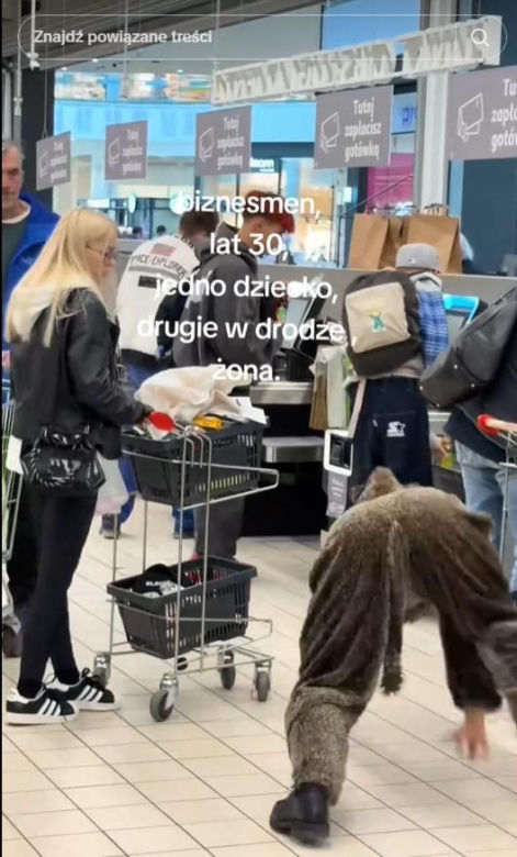 Friz przebrany za dzika