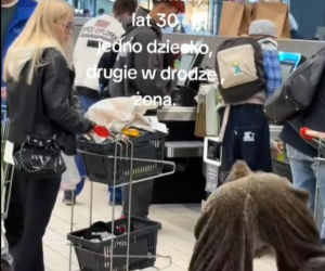 Friz przebrany za dzika