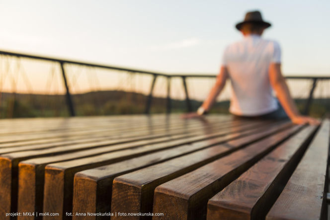 Most Europejski na Odrze w Siekierkach