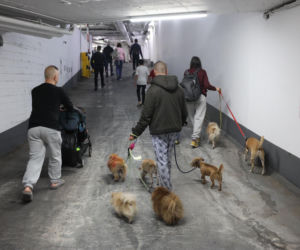 Trump powiedział, kiedy skończy wojnę? Wskazał datę