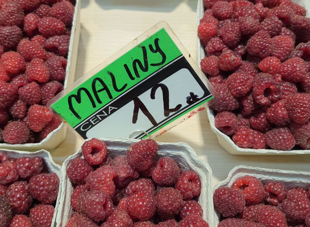 Za maleńki koszyczek malin trzeba dać 12 zł