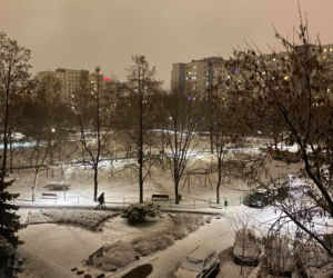 Warszawa pod śniegiem. Szykuje się powrót zimy w stolicy? [ZDJĘCIA] 