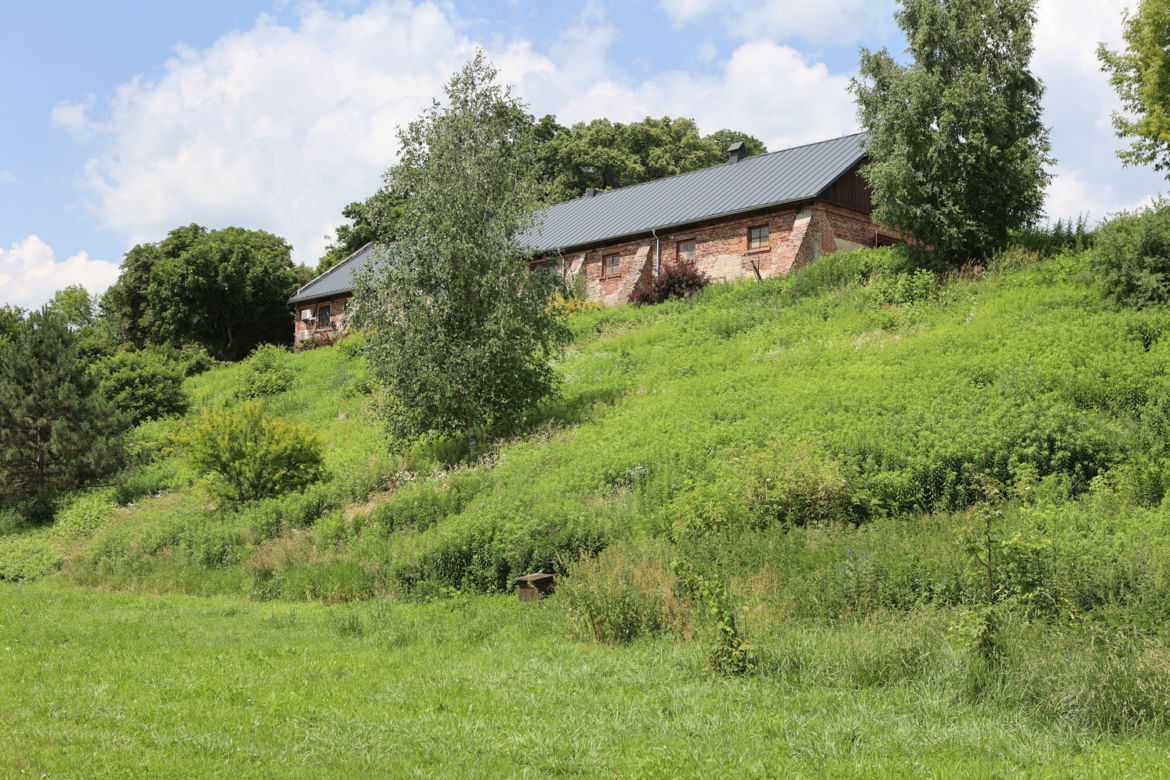Skansen w Lublinie zachwyca w słoneczny letni dzień!