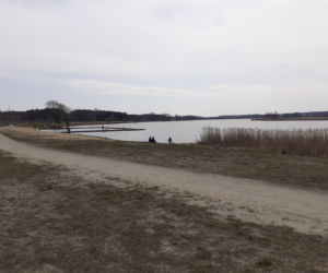 Pierwsza akcja sprzątania brzegów rzeki Muchawki i siedleckiego zalewu w ramach Operacji Czysta Rzeka 2021