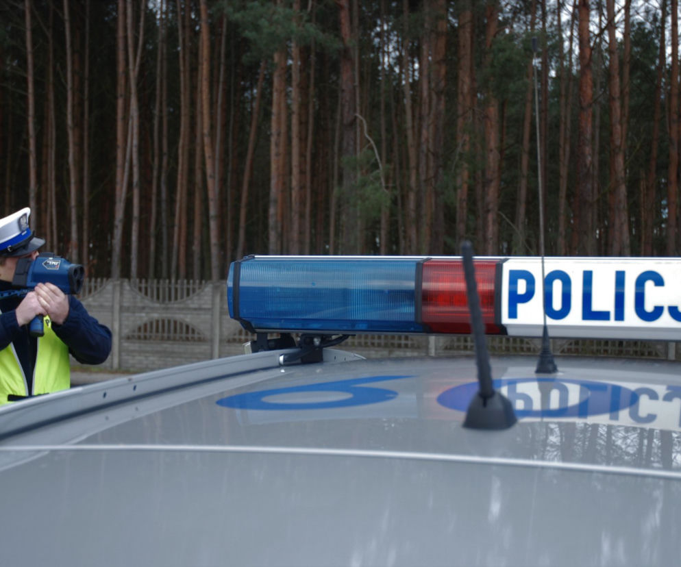 policja