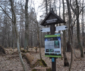 W 54 godziny zdobyli 28 szczytów Korony Gór Świętokrzyskich