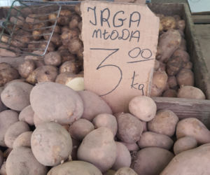 Kilo ziemniaków to wydatek nawet 3-4 zł