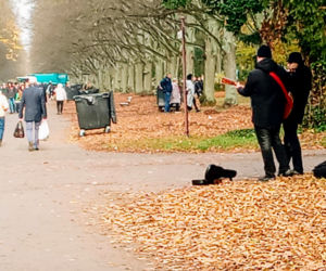 Wszystkich Świętych 2021 na Cmentarzu Centralnym w Szczecinie