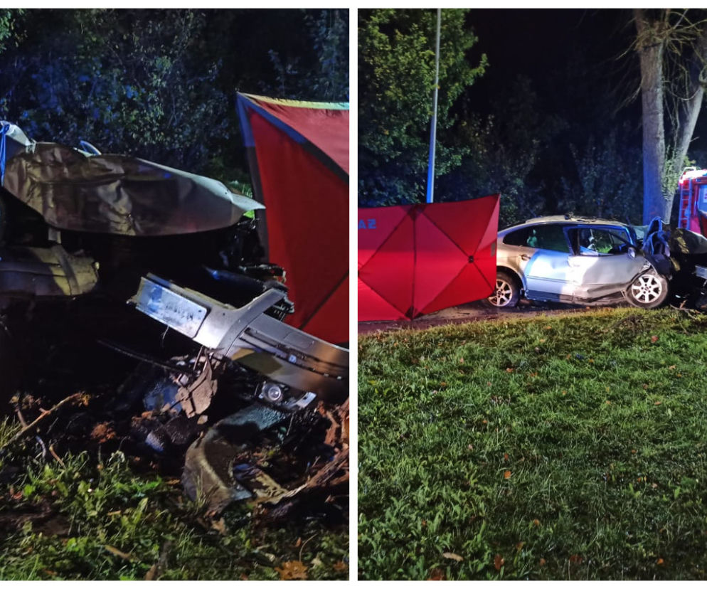 Śmiertelny wypadek na ul. Łęczyckiej w Elblągu. Auto roztrzaskało się na drzewie. Kierowca nie żyje [FOTO]