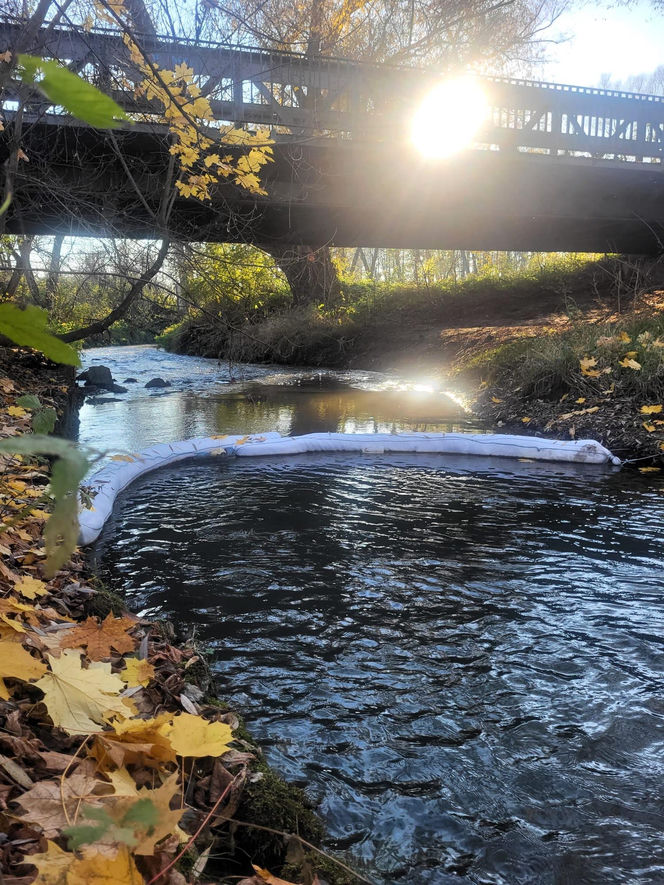 Na Białusze w Krakowie pojawiły się łapacze śmieci