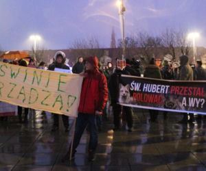 Szczecinianie protestowali przeciwko odstrzałowi dzików