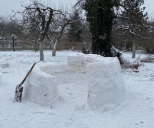 We Wrocławiu powstał domek igloo. Przypomina uroczego kota!