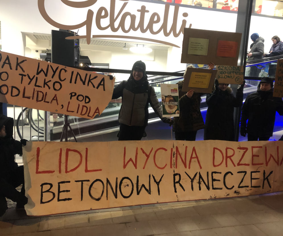 Łodzianie protestowali przed marketem. Podczas budowy wycięto prawie 100-letnie drzewo!