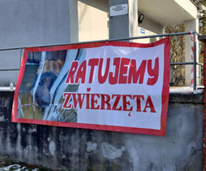 Zamieszanie w schronisku dla zwierząt w Bytomiu