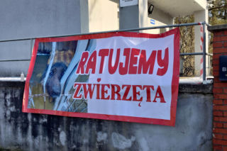 Zamieszanie w schronisku dla zwierząt w Bytomiu