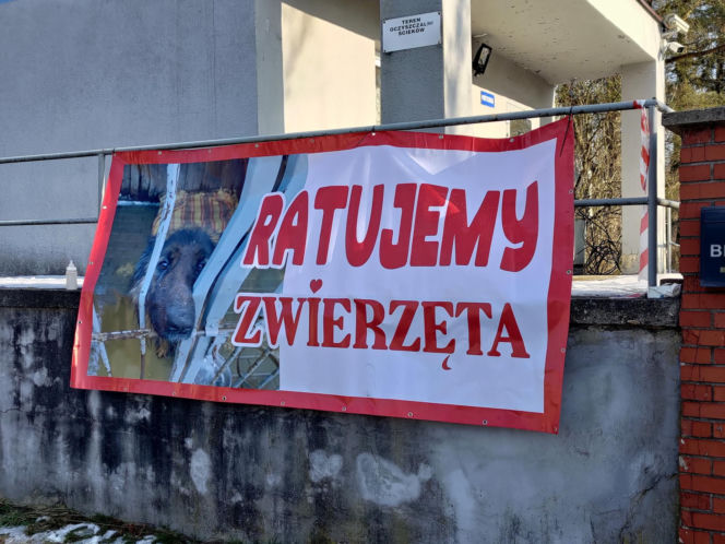 Zamieszanie w schronisku dla zwierząt w Bytomiu