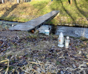 Ciało 11-letniej dziewczynki odnalezione niedaleko szkoły. Tragedia w Jeleniej Górze