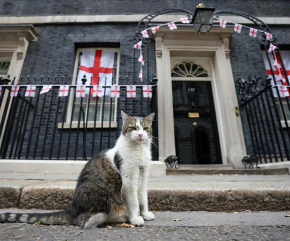 Kot ma niebywałą fuchę w Wielkiej Brytanii! Jest współpracownikiem premierów. To prawdziwy słodziak! 