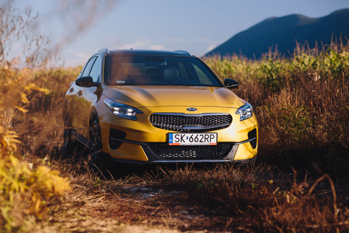 Kia XCeed 1.6 T-GDI 204 KM 7DCT XL