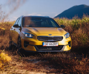 Kia XCeed 1.6 T-GDI 204 KM 7DCT XL