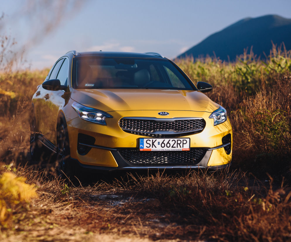 Kia XCeed 1.6 T-GDI 204 KM 7DCT XL