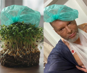 Rzeżuchy które wyglądają jak Krzysztof Rutkowski i jego legendarne fryzury