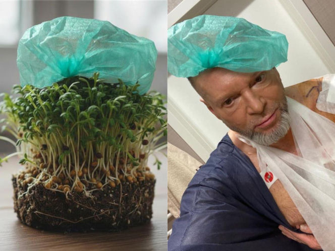 Rzeżuchy które wyglądają jak Krzysztof Rutkowski i jego legendarne fryzury