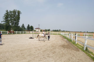 Ruszyły zapisy do sierpniowych Wakacji w siodle