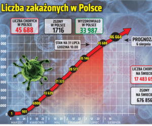 Koronawirus w Polsce. Wykresy, grafiki, statystyki (31 lipca)
