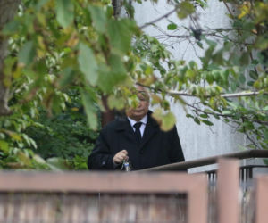 Koty Jarka nas terroryzują