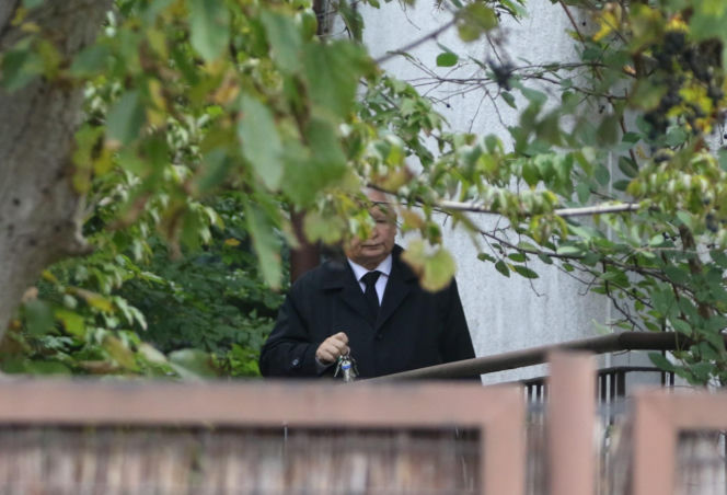 Koty Jarka nas terroryzują