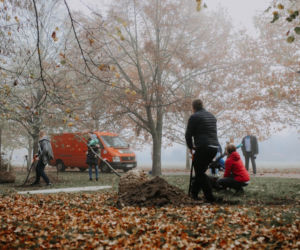 Rodzice z Płocka posadzili pierwsze drzewa z imionami swoich dzieci [ZDJĘCIA]