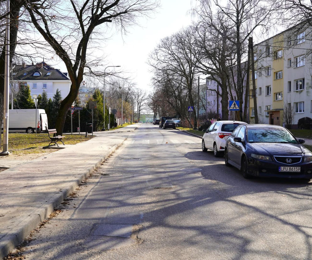 Droga w pow. puławskim