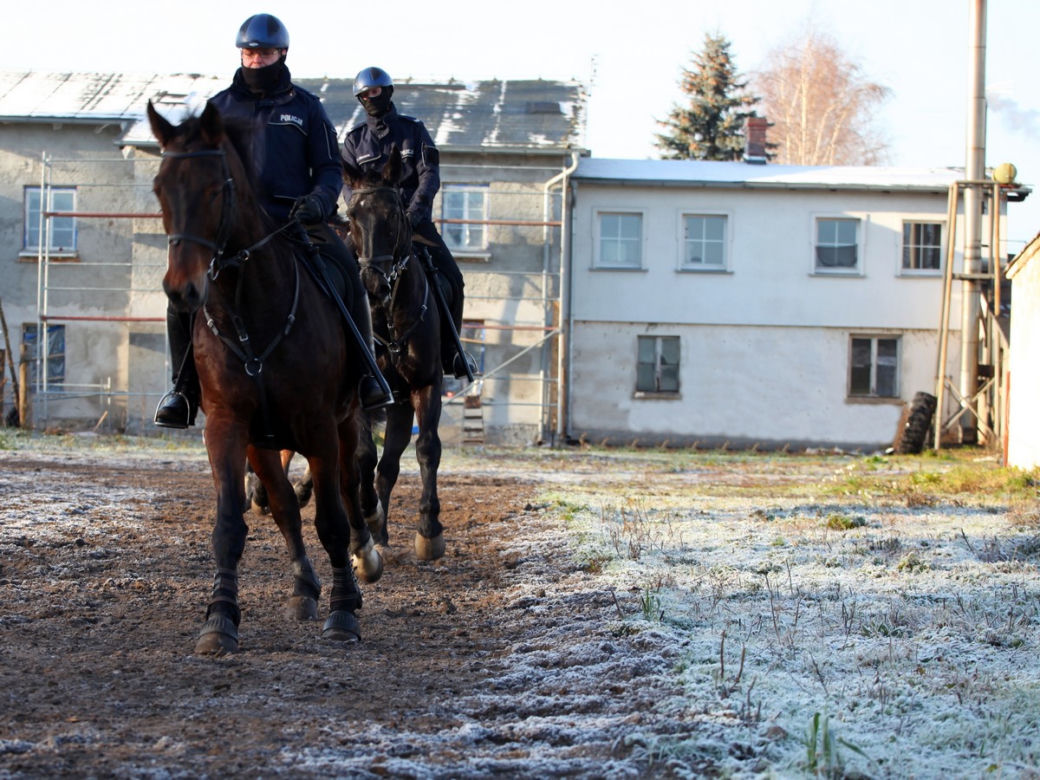 Policja konna z Poznania ma nowego współpracownika