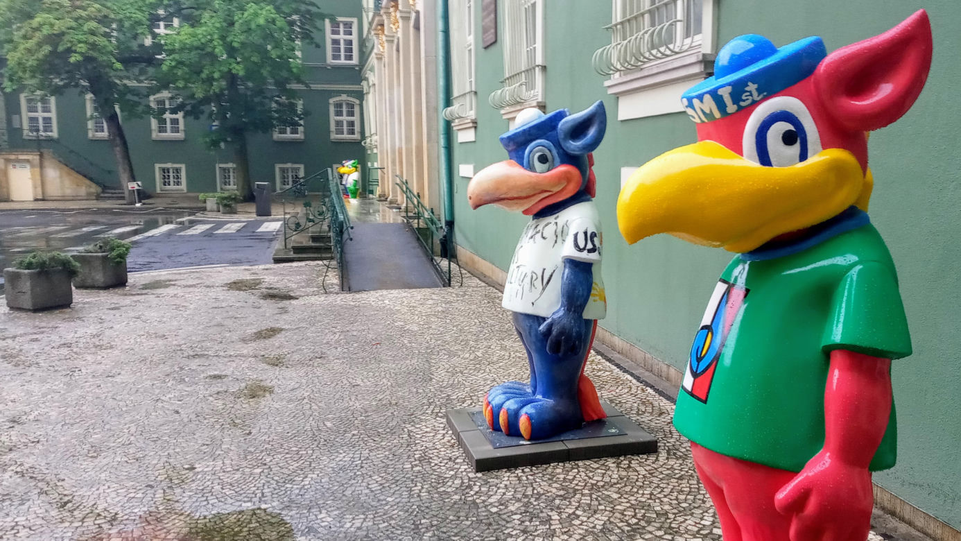 Gryfusy w Szczecinie