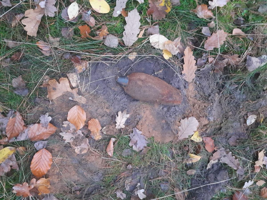 Grzybiarze przecierali oczy ze zdumienia, gdy to zobaczyli! Teren zabezpieczyła policja 
