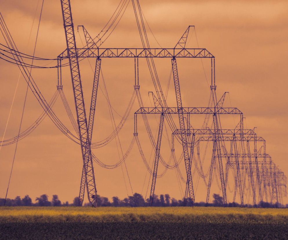 Fałszywa żarówka za 12 mln zł. Kto nam podnosi rachunki za energię?