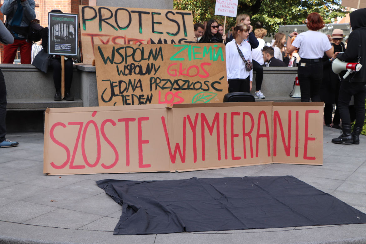 Młodzieżowy Strajk Klimatyczny w Toruniu. Protestowali przeciwko rządowi i korporacjom