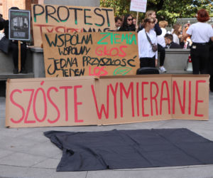 Młodzieżowy Strajk Klimatyczny w Toruniu. Protestowali przeciwko rządowi i korporacjom