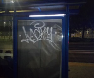 Wandal niszczył wszystko, co spotkał po drodze