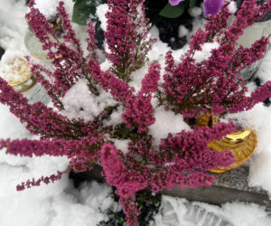 Tak wygląda grób Krzysztofa z Rolnik szuka żony