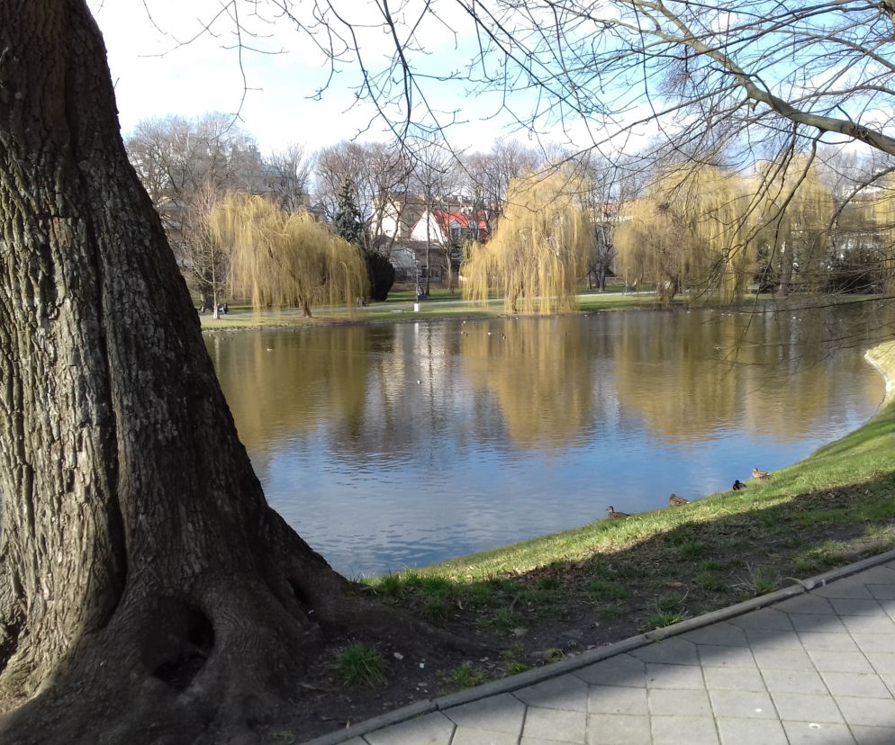 Park miejski w Kielcach